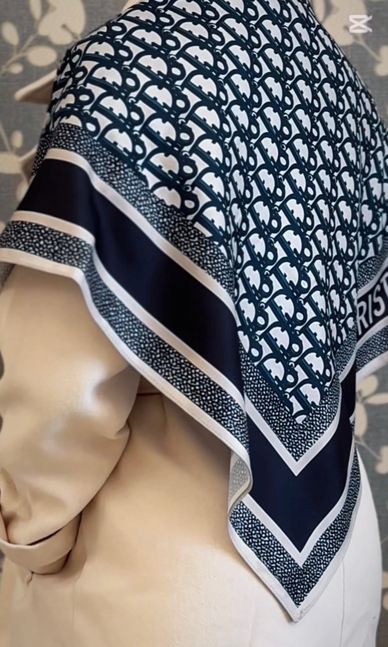 Dior oblique shawl