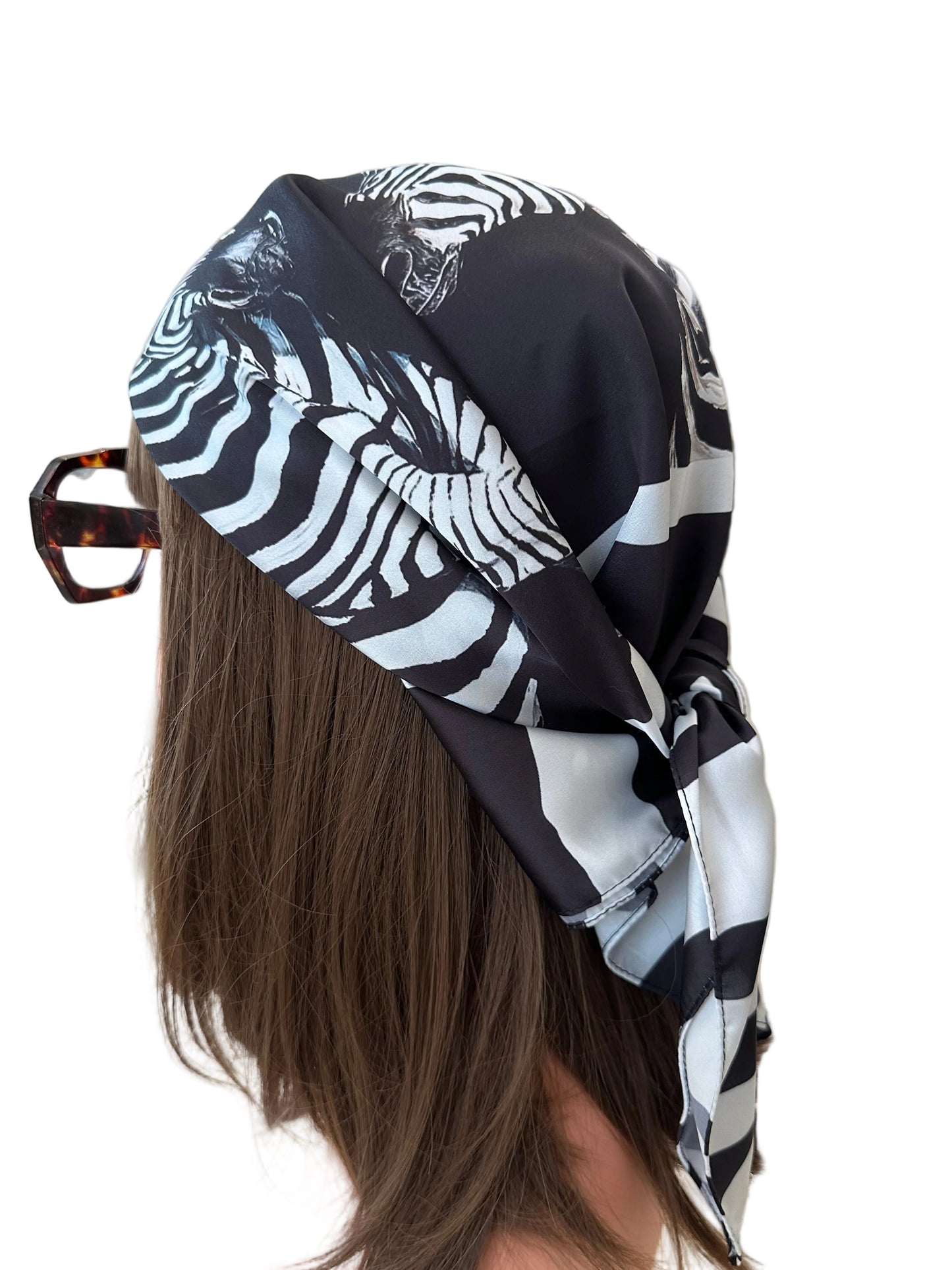 Zebra Noir