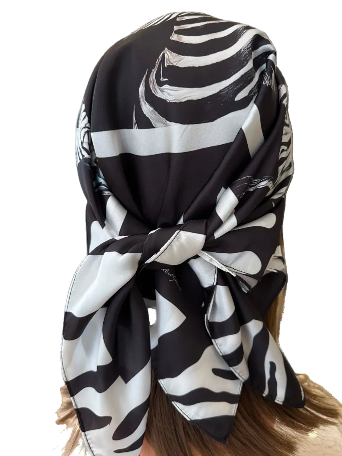 Zebra Noir