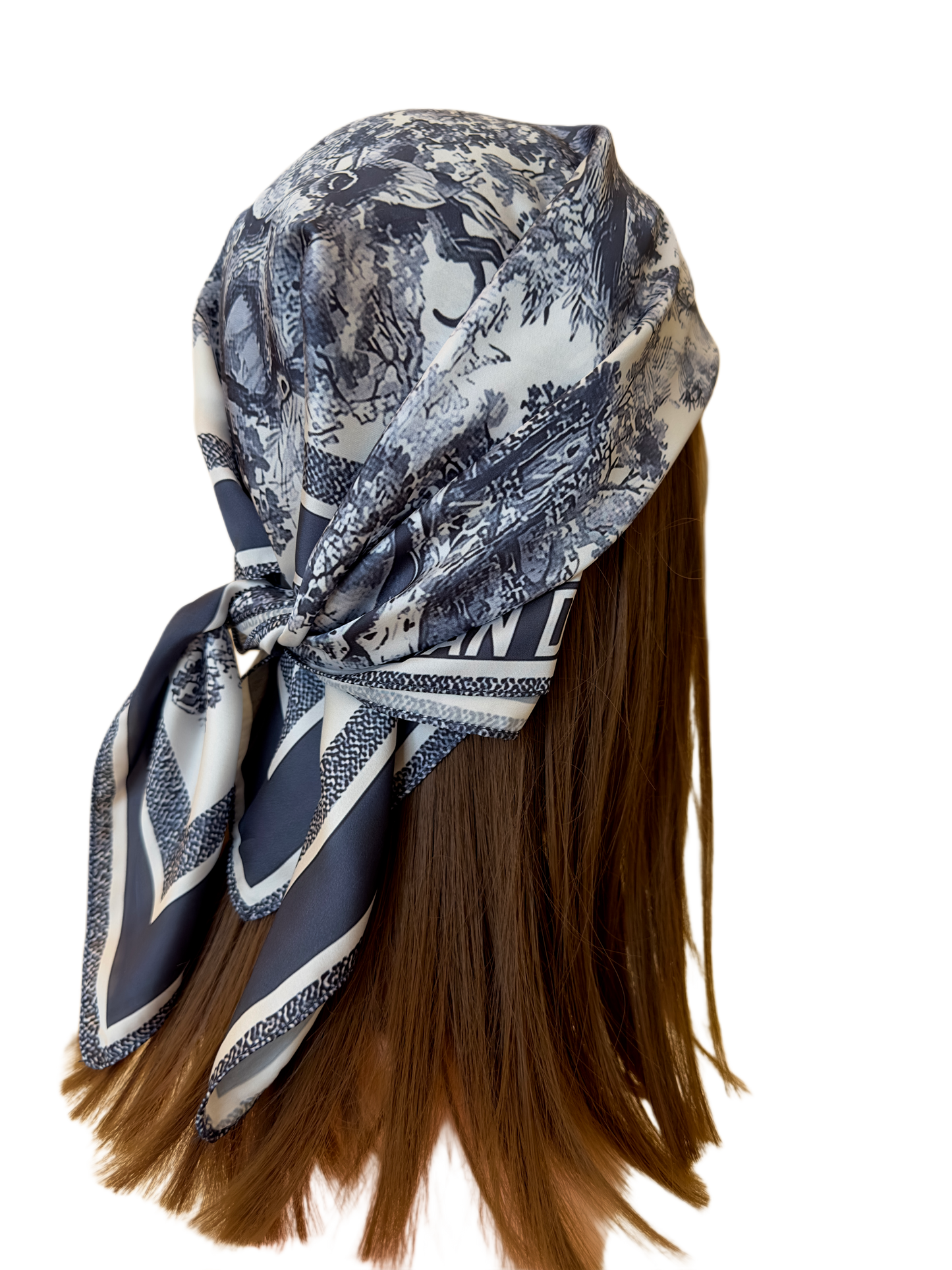 Dior toile de joy scarf