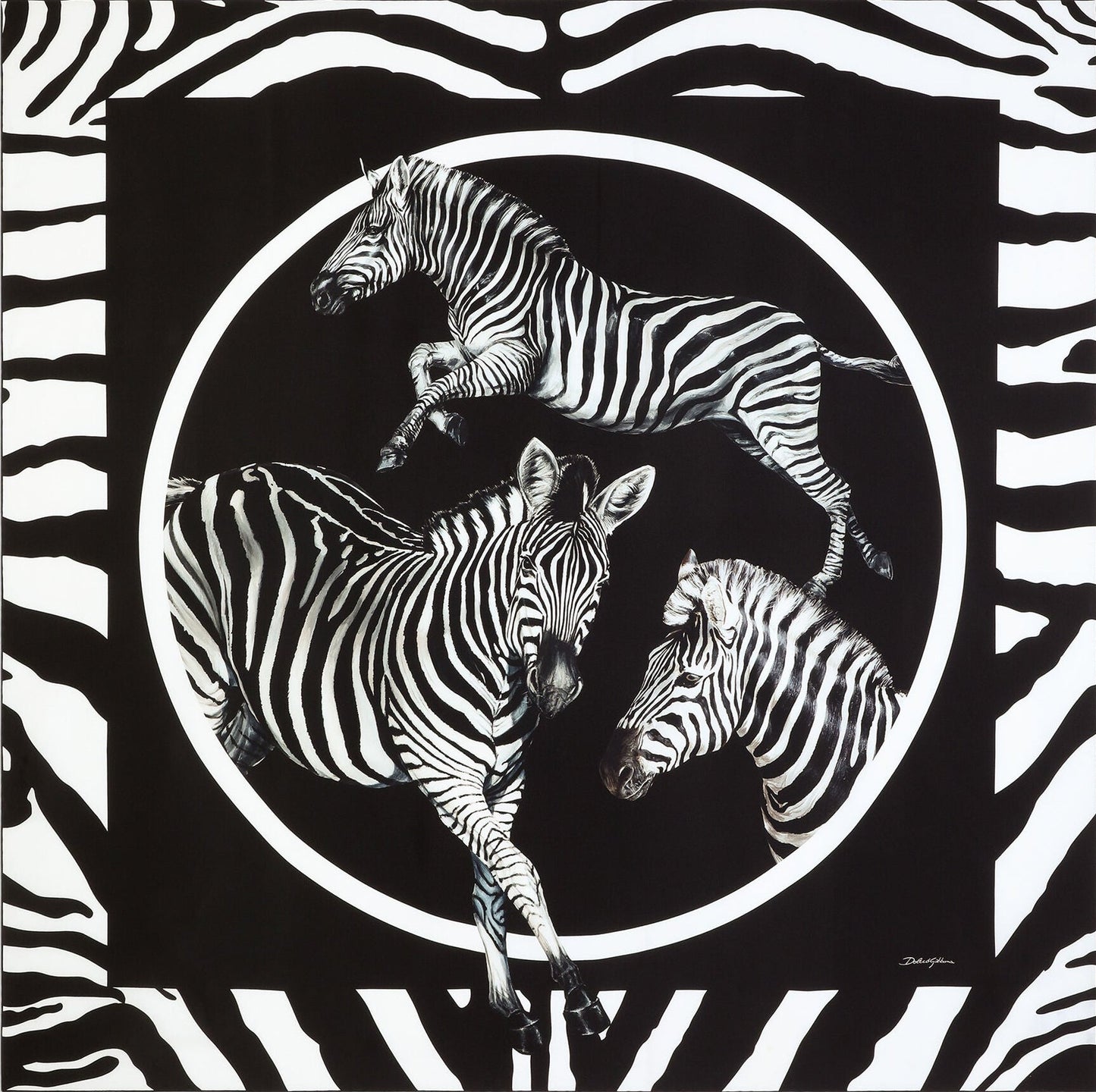 Zebra Noir