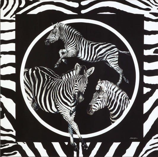 Zebra Noir