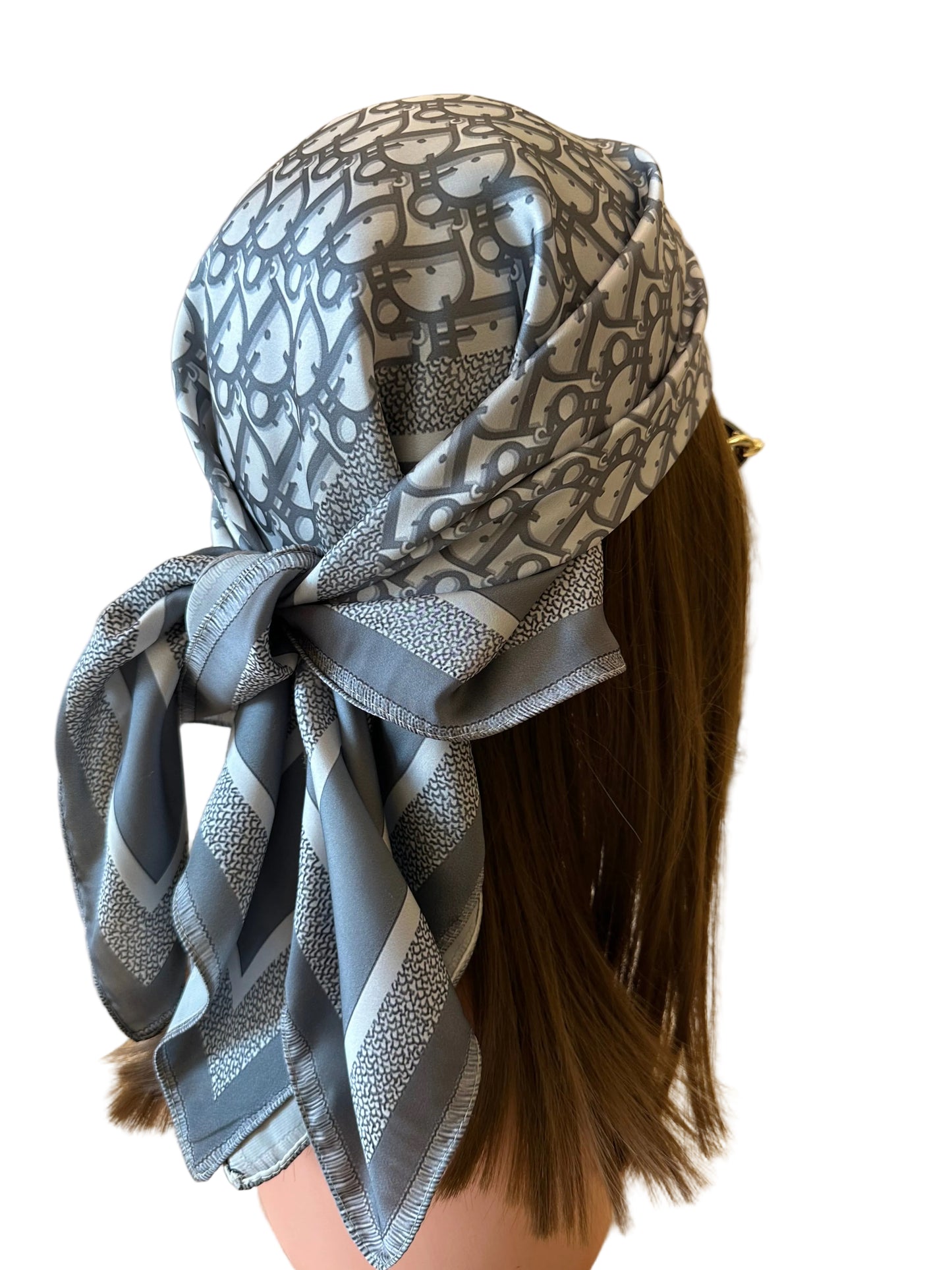 Dior Grey Monogram