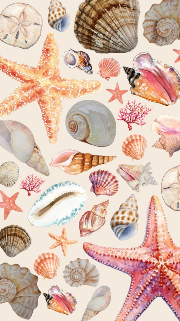 Ocean Relics