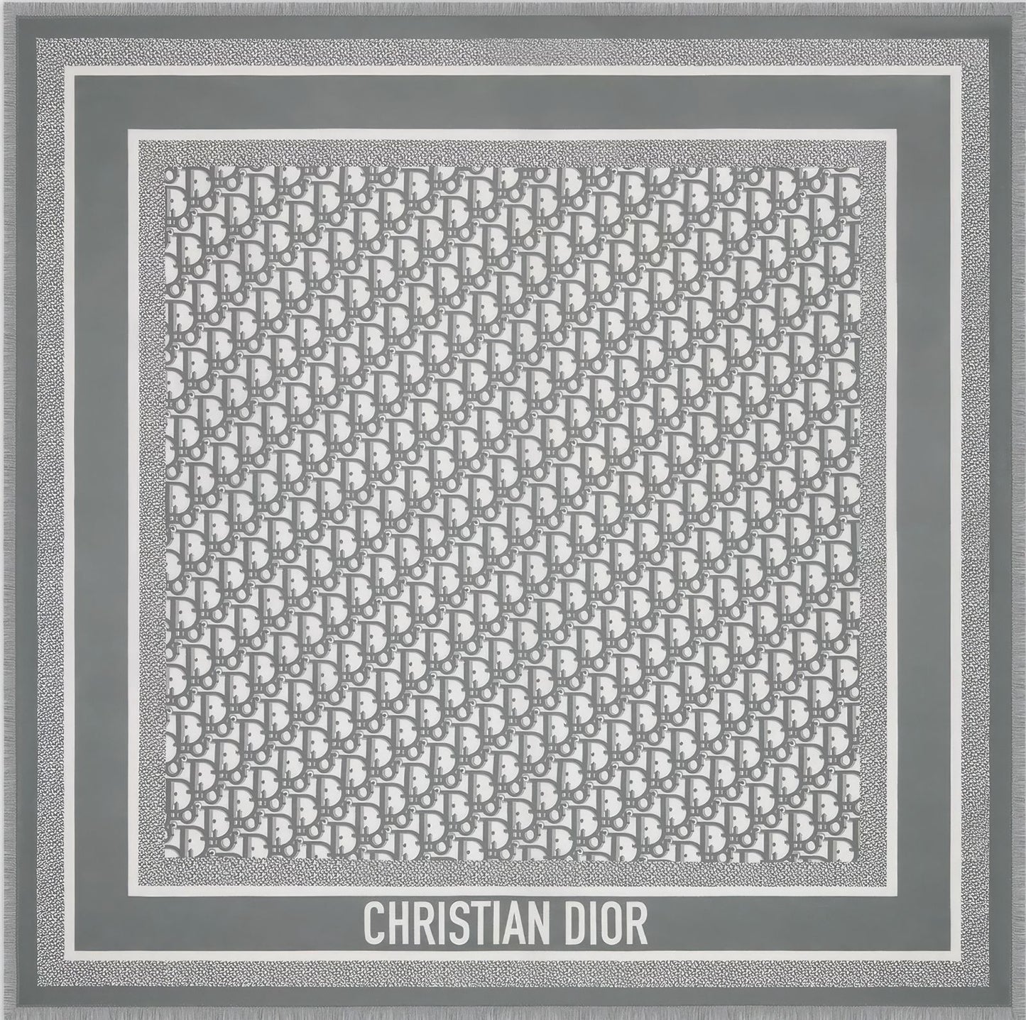 Dior Grey Monogram
